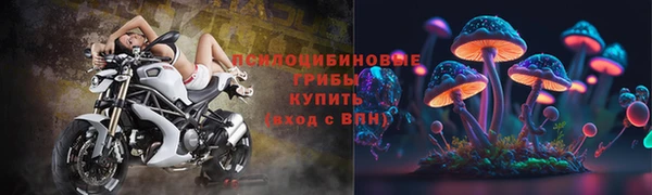мяу мяу мука Дмитриев