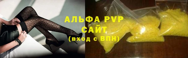 прущие грибы Дмитровск