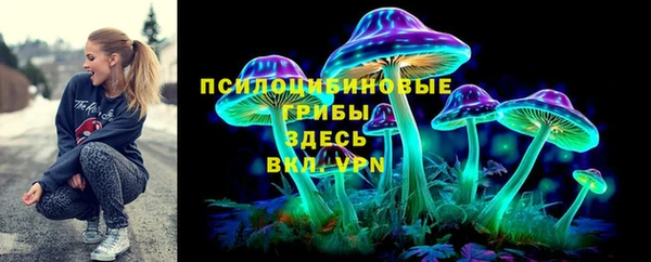 мяу мяу мука Дмитриев