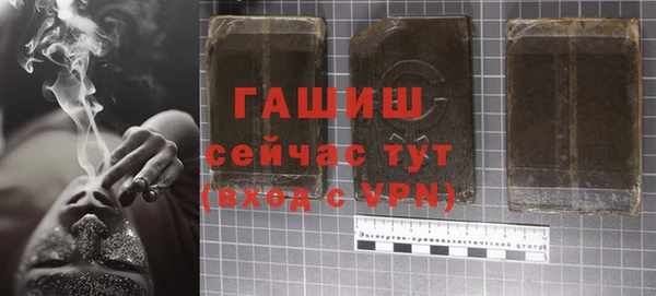 соль ск Белокуриха