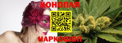 сатива Вышний Волочёк