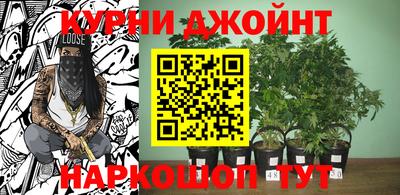 сатива Вышний Волочёк