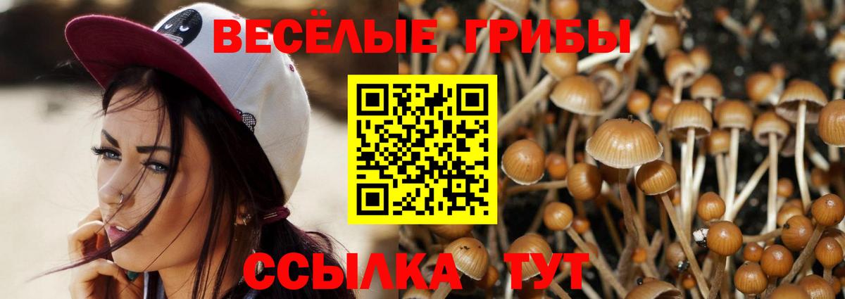 Псилоцибиновые грибы MAGIC MUSHROOMS Верхний Уфалей